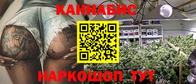 гидра Камышлов