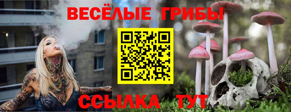 Каменка  Галлюциногенные грибы Magic Shrooms  Вход с VPN 